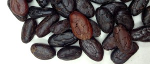 PNG-Shelled-Cocoa-Beans